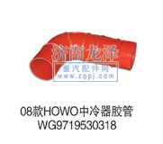 WG9719530,中冷器膠管,山東弗殼潤滑科技有限公司