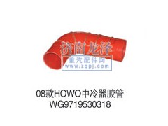 WG9719530,中冷器膠管,山東弗殼潤滑科技有限公司