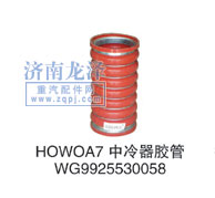 WG9925530058,中冷器膠管,山東弗殼潤(rùn)滑科技有限公司