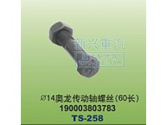 190003803783,￠14奧龍傳動(dòng)軸螺絲60長(zhǎng),晉江新興螺絲有限公司