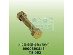 190003803646,￠12元寶梁螺絲70長,晉江新興螺絲有限公司