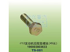 190003803633,￠12發(fā)動機膠墊螺絲45長,晉江新興螺絲有限公司