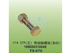 199000310049,￠14STR王傳動(dòng)軸螺絲加長,晉江新興螺絲有限公司