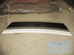 NZ165110120,前臉 前面板,濟(jì)南隆旭汽車配件有限公司