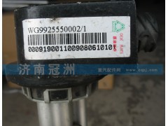 WG9925550002/1,油量傳感器,濟(jì)南冠洲重汽配件