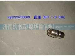 WG2229250009,直通(NPT1/8-8X6),濟(jì)南約書亞汽車配件有限公司（原華魯信業(yè)）