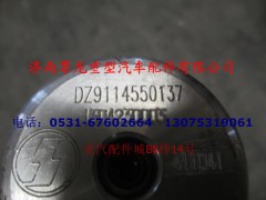 DZ9114550137,油量傳感器,濟南尊龍(原天盛)陜汽配件銷售有限公司