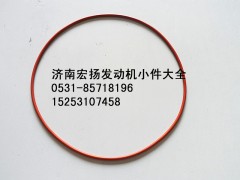 90003120088,WP12噴油器法蘭密封圈,濟南耀順汽車配件有限公司（重汽、濰柴發(fā)動機小件專賣）