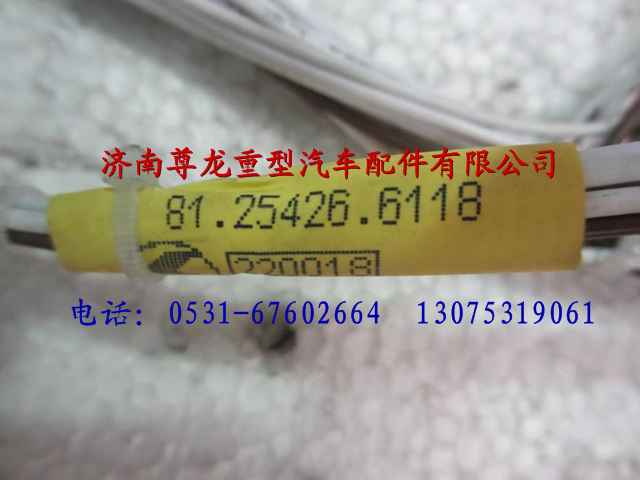 81.25426.6118,陜汽德龍F2000電動玻璃升降器線束總成,濟南尊龍(原天盛)陜汽配件銷售有限公司