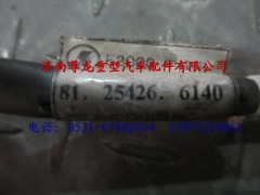 81.25426.6140,陜汽德龍右車門電線束,濟南尊龍(原天盛)陜汽配件銷售有限公司