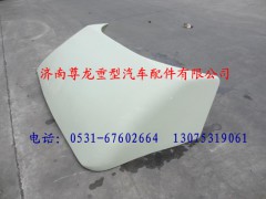 81.62900.6145,陜汽德龍導(dǎo)流罩總成,濟南尊龍(原天盛)陜汽配件銷售有限公司