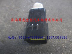 DZ9100585012,陜汽德龍遠(yuǎn)程油門模擬電阻器,濟(jì)南尊龍(原天盛)陜汽配件銷售有限公司