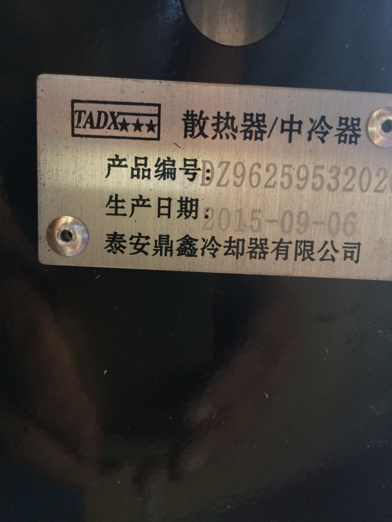 DZ96259532020,散熱器,濟(jì)南鼎立興丞汽車配件有限公司