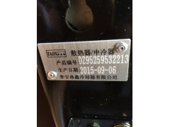 DZ95259532213,散熱器,濟南鼎立興丞汽車配件有限公司