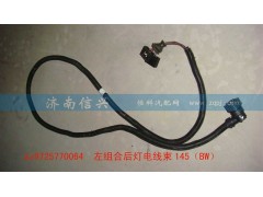 AZ9725770064,左組合后燈電線束140（BW）,濟南信興汽車配件貿易有限公司