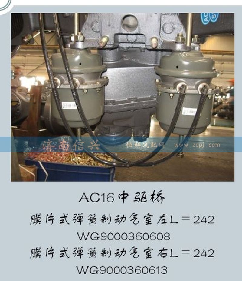 WG9000360608,膜片式彈簧制動氣室左L=242,濟南信興汽車配件貿易有限公司