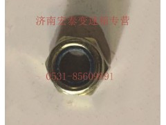 AZ9003881616,六角尼龍圈鎖緊螺母,濟(jì)南宏泰變速箱專營(yíng)店