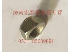 AZ9003881616,六角尼龍圈鎖緊螺母,濟(jì)南宏泰變速箱專營(yíng)店