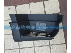 WG1664245009,T5G左踏板,濟南約書亞汽車配件有限公司（原華魯信業(yè)）