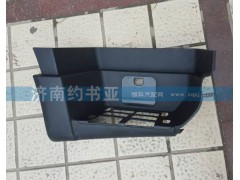 WG1664245010,T5G右踏板,濟(jì)南約書亞汽車配件有限公司（原華魯信業(yè)）