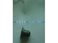 VG1246050167,氣門(mén)護(hù)套,東營(yíng)京聯(lián)汽車(chē)銷(xiāo)售服務(wù)有限公司