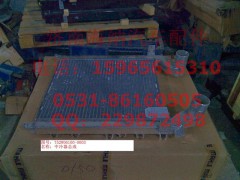 752W06100-0003,中冷器總成,濟南海納汽配有限公司