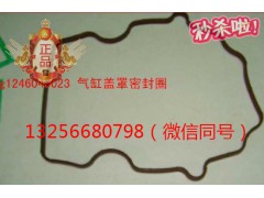 VG1246040023,發(fā)動機氣缸蓋罩密封圈,濟南凱爾特商貿(mào)有限公司