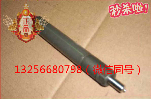 供應(yīng)VG1560080276重汽豪沃斯太爾發(fā)動機(jī)噴油器總成/VG1560080276