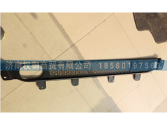 WG9525930102,保險杠格柵,濟南權(quán)御進出口有限公司