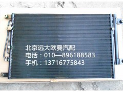 h4812020001a0,冷凝器總成,北京遠(yuǎn)大歐曼汽車配件有限公司