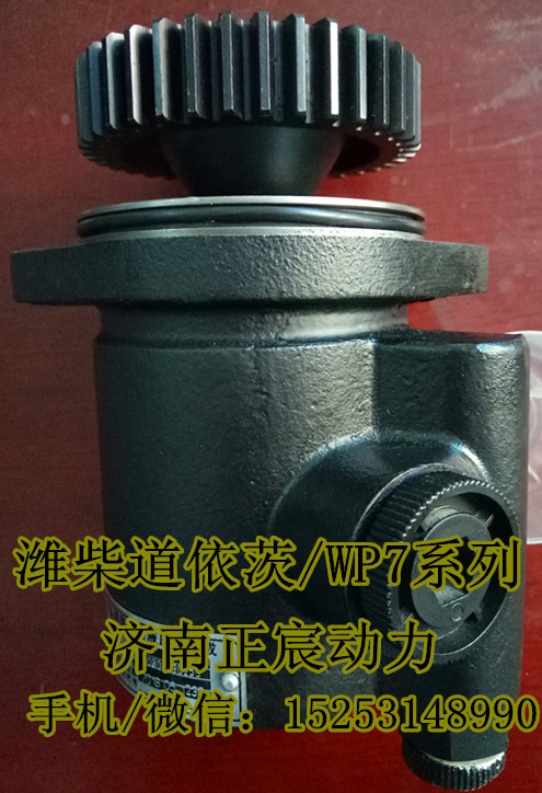 610800130014,濰柴WP7轉(zhuǎn)向助力泵,濟(jì)南正宸動(dòng)力汽車零部件有限公司