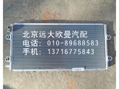 1B24981280061,冷凝器芯體,北京遠(yuǎn)大歐曼汽車配件有限公司