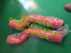 豪瀚中冷器膠管,豪瀚中冷器膠管,濟(jì)南鵬翔汽車配件有限公司