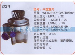 WG9731471025,轉(zhuǎn)向泵,濟(jì)南隆祺工貿(mào)有限公司