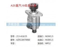 AZ9118470060,重汽19齒直小泵,濟(jì)南浩強(qiáng)助力泵發(fā)展有限公司