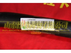 LG9704470843,HAOWO豪沃輕卡吸油軟管,山東悍將商貿(mào)有限公司