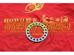 102010018,HOWO豪沃輕卡花墊,山東悍將商貿有限公司