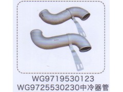 WG9719530123,中冷器管,濟南泉信汽配