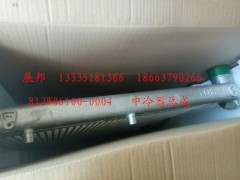 812W06100-0004,中冷器總成,濟南冠澤卡車配件營銷中心