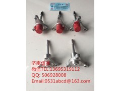 LC100-1205580SF3新款尿素噴嘴,LC100-1205580SF3新款尿素噴嘴,濟(jì)南信發(fā)汽車配件有限公司