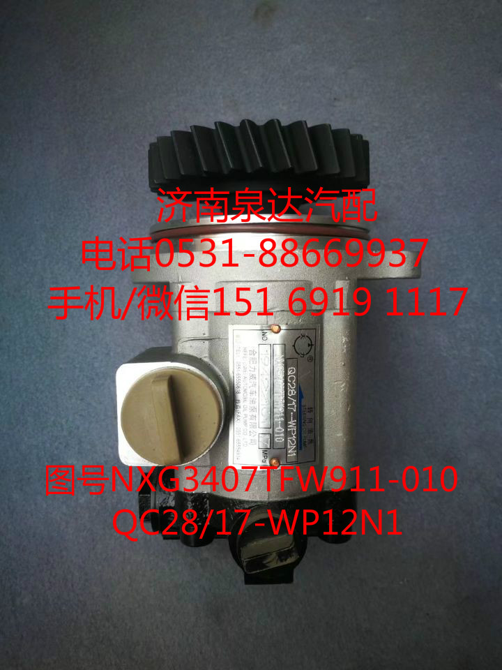 QC28/17-WP12N1,轉(zhuǎn)向助力泵,濟(jì)南泉達(dá)汽配有限公司