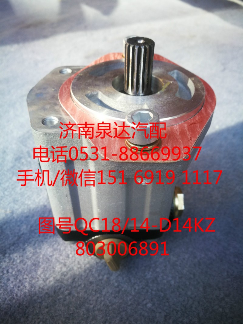 QC18/14-D14XZ,轉(zhuǎn)向助力泵,濟(jì)南泉達(dá)汽配有限公司