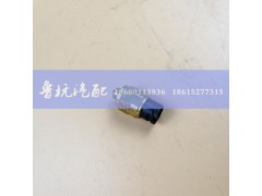 0068DS,倒擋信號(hào)開關(guān)接頭總成,濟(jì)南魯杭汽配有限公司