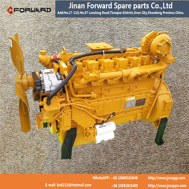 WD10G220E21,Engine assembly,濟(jì)南向前汽車配件有限公司