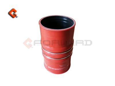 DZ93259535308,Fluorine tube and silicone tube,濟(jì)南向前汽車(chē)配件有限公司