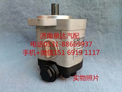 QC20/15-WP6J,轉(zhuǎn)向助力泵,濟(jì)南泉達(dá)汽配有限公司