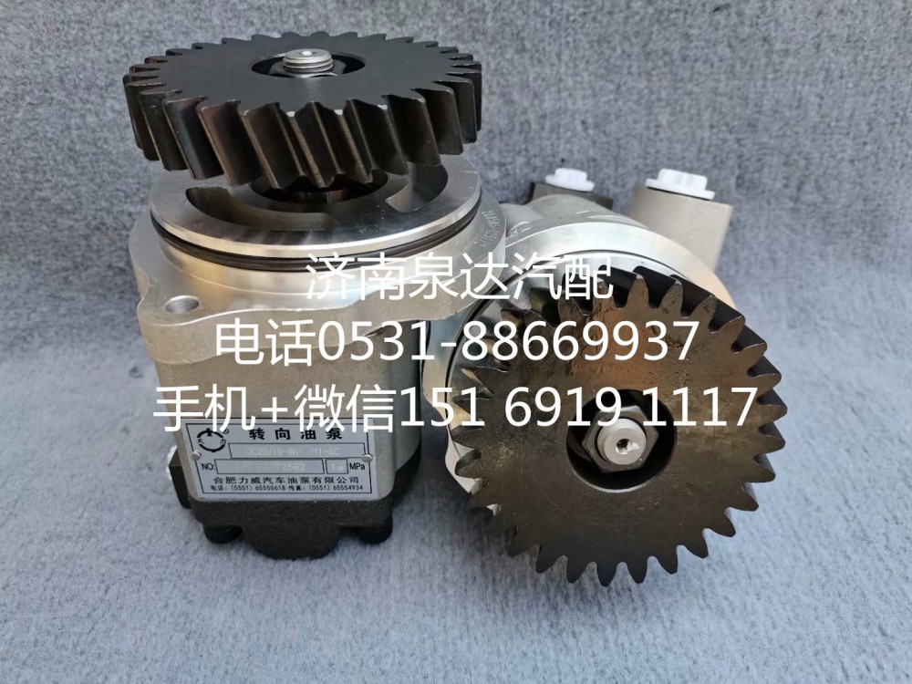 QC25/19-WP12N1-SD,轉(zhuǎn)向助力泵,濟(jì)南泉達(dá)汽配有限公司