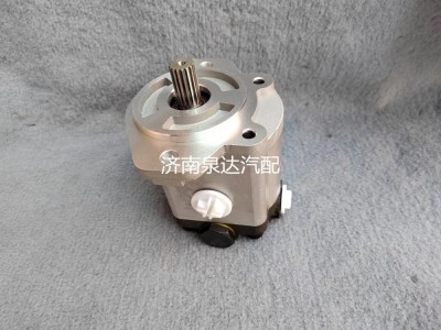 QC20/14-226B,轉(zhuǎn)向助力泵,濟(jì)南泉達(dá)汽配有限公司