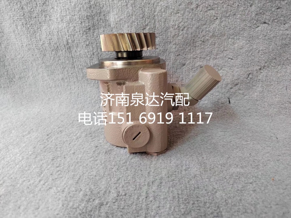 3407020-DG001B,轉(zhuǎn)向助力泵,濟南泉達汽配有限公司