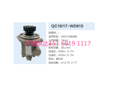 QC16/17-WD615,動力轉(zhuǎn)向齒輪泵,濟(jì)南泉達(dá)汽配有限公司